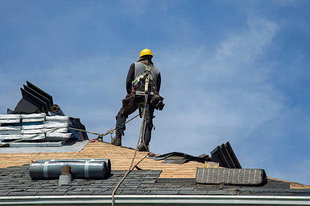 Professional Roof Replacement technician working in Molino, FL